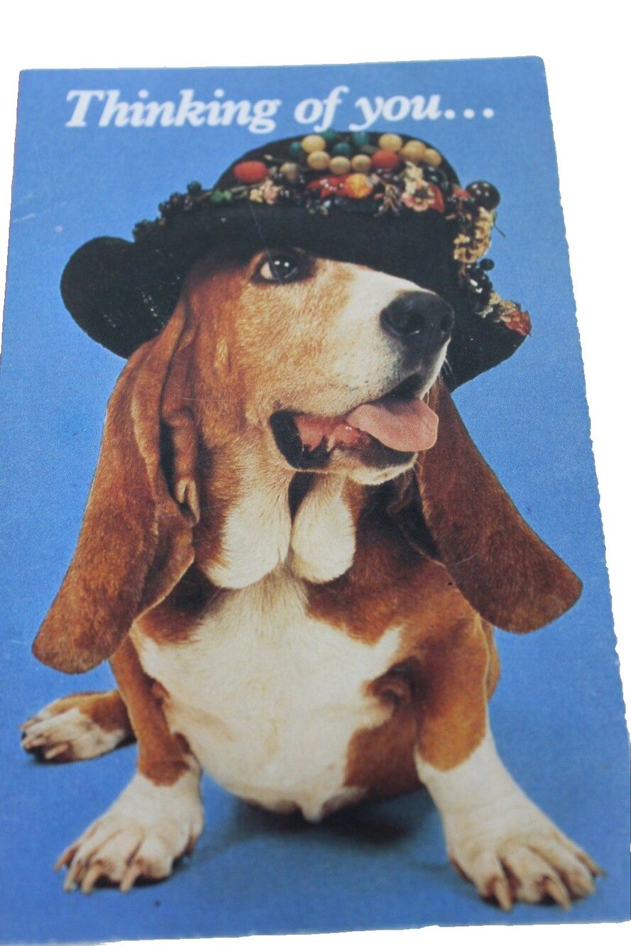 Vintage Set Of 6 The North Shore Animal League Post Cards